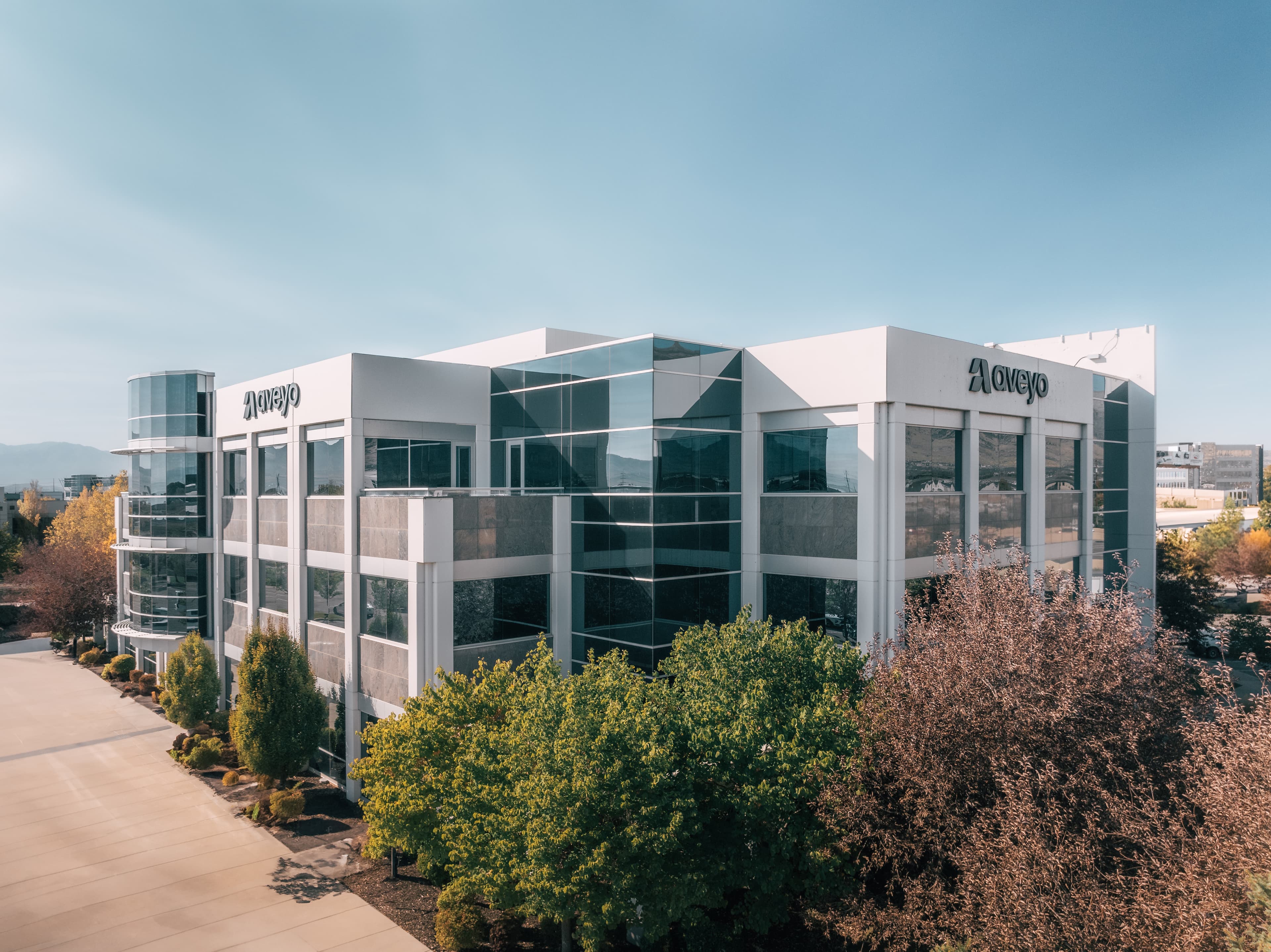 Aveyo team members standing together outdoors, blue sky, natural light
